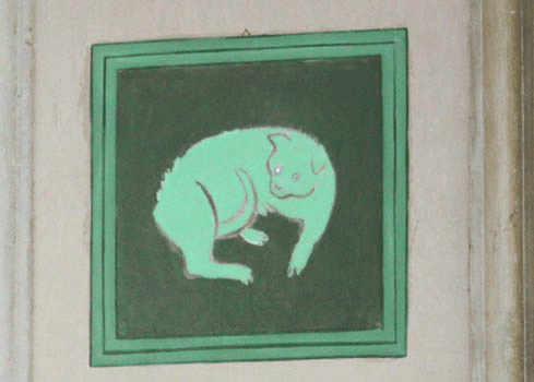 Card image cap