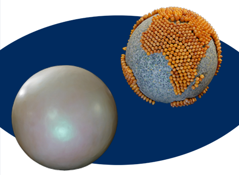 MAPP partecipa a WePlanet – 100 globi per un futuro sostenibile