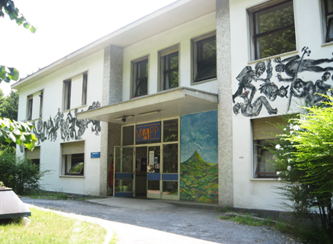Servizio Civile al Museo